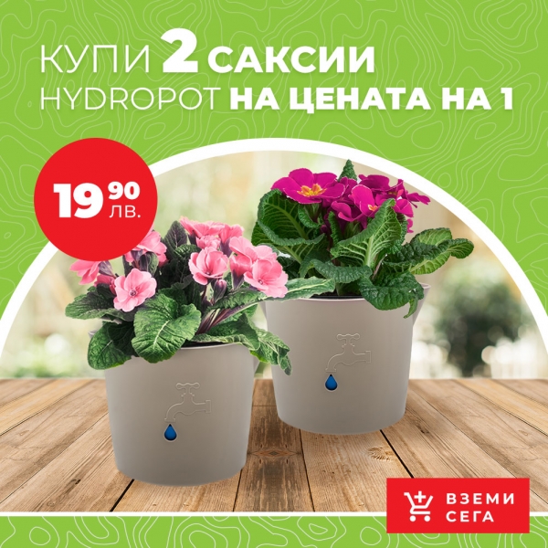 2 саксии на цената на 1: Hydro Pot Канелка с кашпа и напоителна система - 05800030